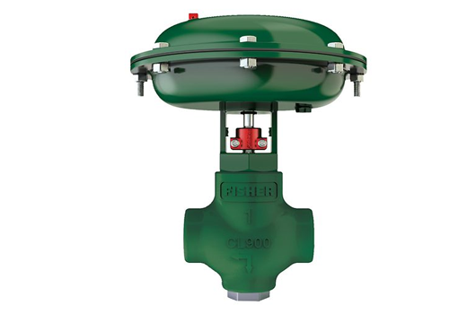 Fisher™ D2T FloPro 控制阀